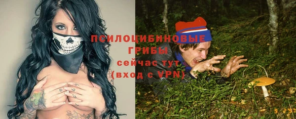 стаф Волосово