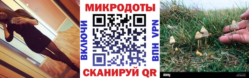 Галлюциногенные грибы ЛСД  Кубинка 